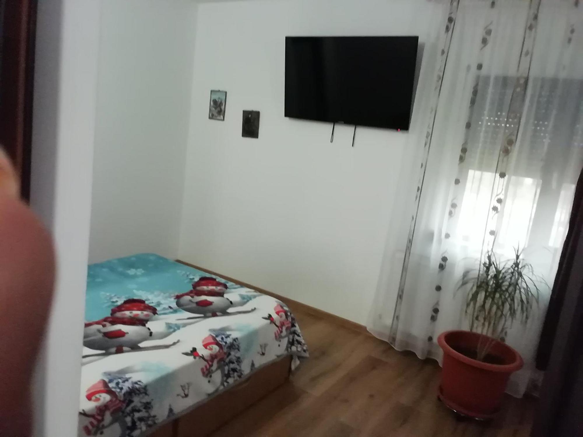 דירות Schitu Adelina מראה חיצוני תמונה